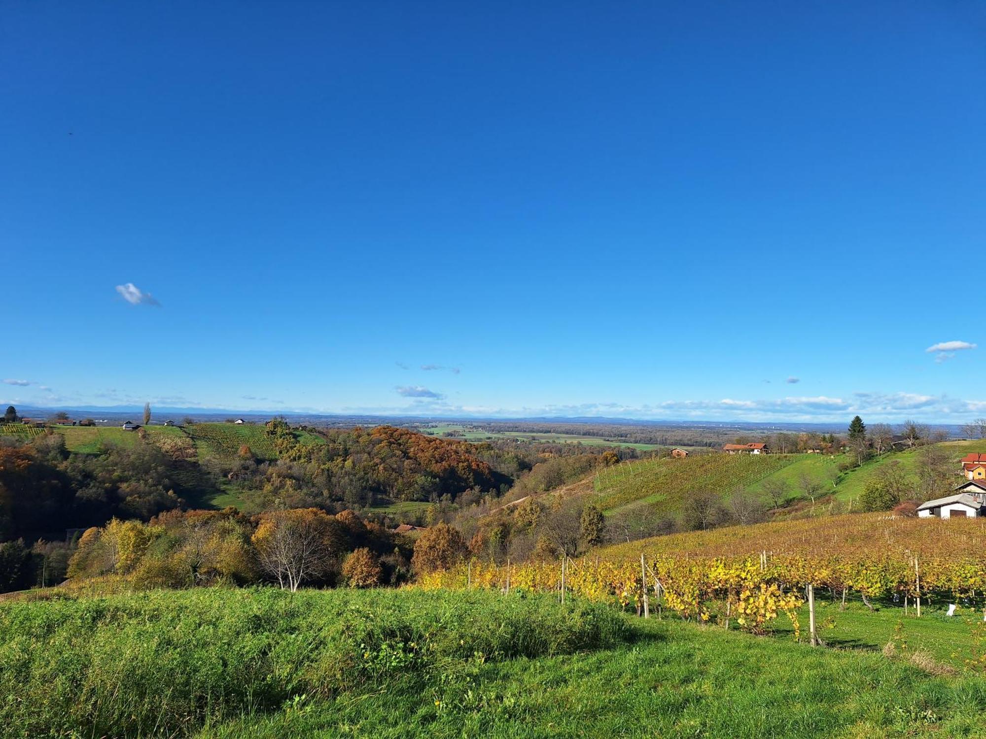 Kuca Za Odmor Kodba Villa Strigova Buitenkant foto